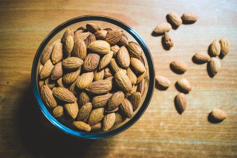 The Science of Food Packaging: Innovations for Fresher, Longer-Lasting Food