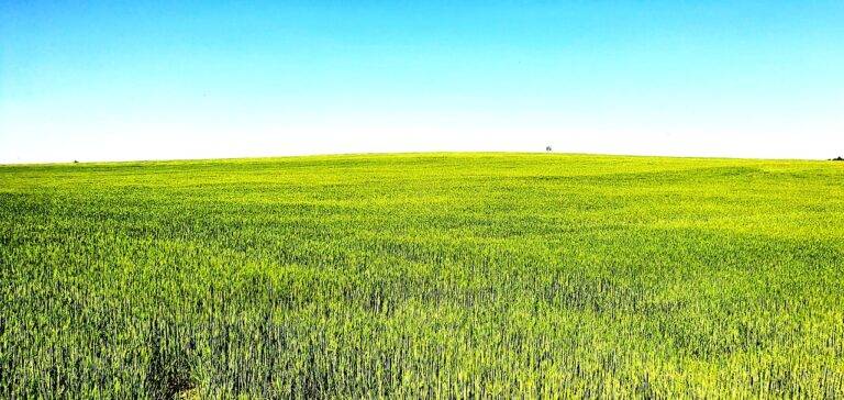 Analyzing the Impact of Social Media on Celebrity Brand Endorsements