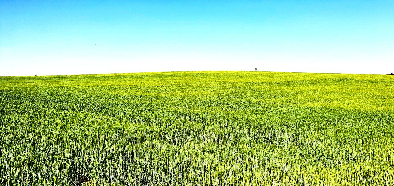 Analyzing the Impact of Social Media on Celebrity Brand Endorsements