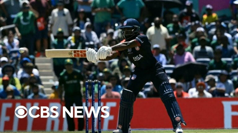 Earthbetz vs. Allpaanel: Where to Bet on Your Favorite Sports?